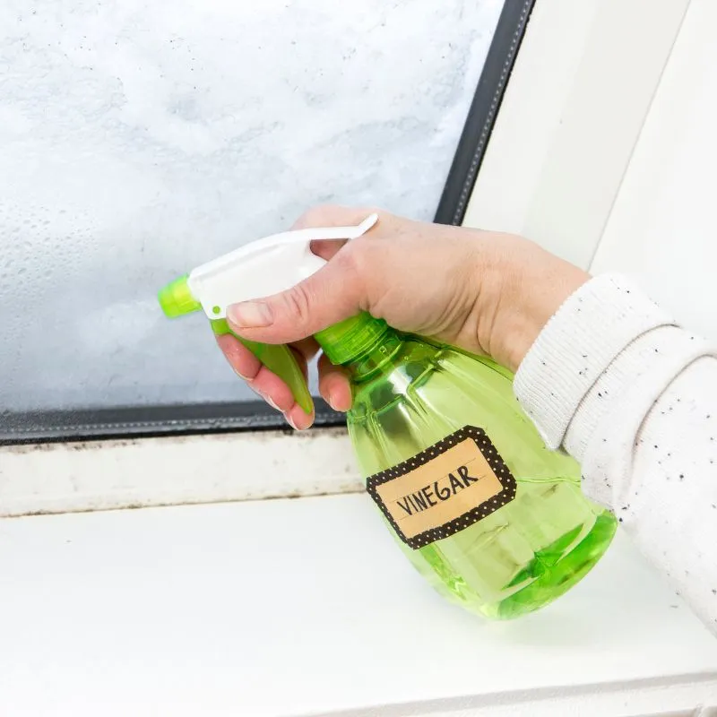 ลอกวอลเปเปอร์แบบอื่นๆ