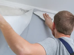 ติดวอลเปเปอร์