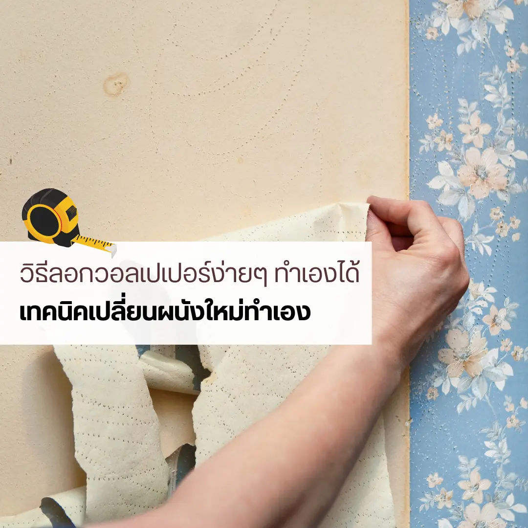 ลอกวอลเปเปอร์เองไม่ยาก แค่มีคัตเตอร์ ฟองน้ำ น้ำยาปรับผ้านุ่ม