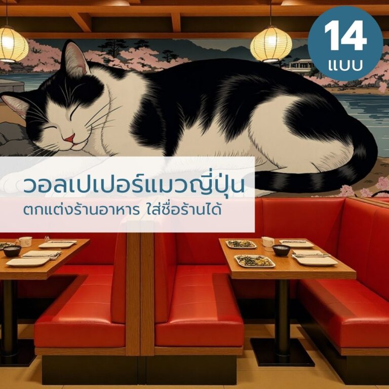วอลเปเปอร์แมวแต่งร้านอาหารญี่ปุ่น